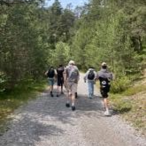 © PTS Silz Alpine Coaster