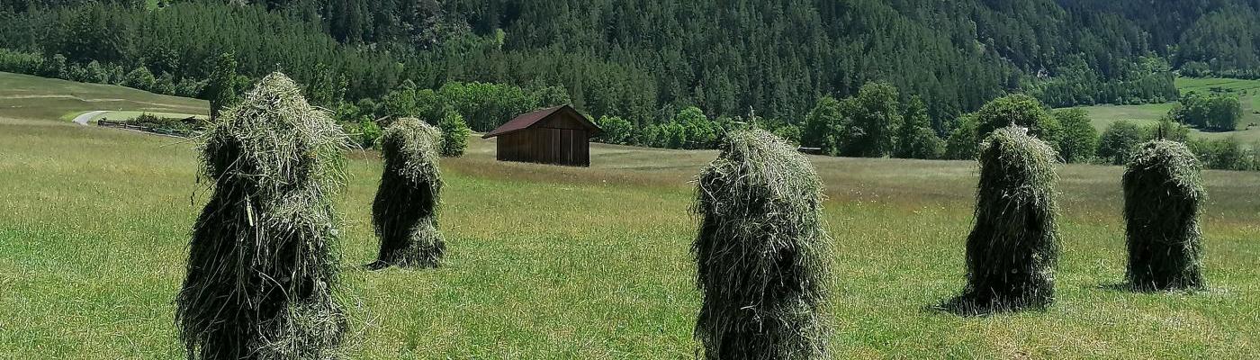 © Stephan Kuprian Wiese